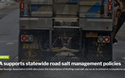 LGA supports statewide road salt management policies